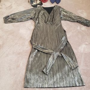 Zara Metallic Dress